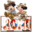 RONI