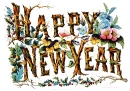 NEW YEAR