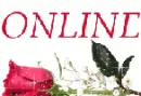 online