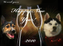 Happy New Year!