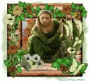 peek into spring