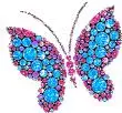 Buterfly