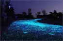 glow pebbles