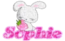 sophie cute bunny