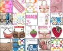 Coach Collage