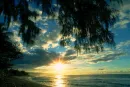 sun