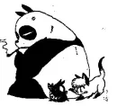 panda