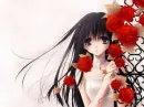 Rose Beauty