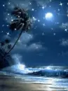 night time beach sparkle fantasy