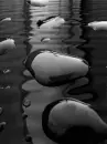 water drops moving