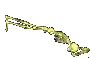 floatingbones
