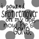 Spot Remover