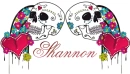 Shannon