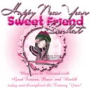 Happy new year w/ Serhat