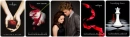 twilight banner
