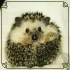 thing looking at u