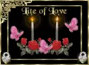 LiteOfLove