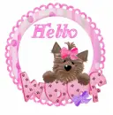 Hello 