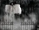 vampires in cemetery