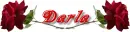red rose -- Darla