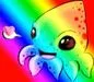 squeegee the rainbow
