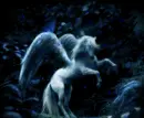 glittered pegasus