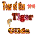 Year Of The Tiger 2010  Gilda...