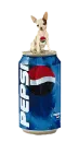 pepsi pe