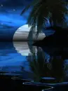 tropical night water