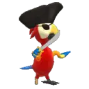 pirate parrot