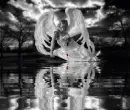 injured angel