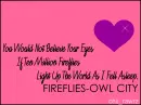 fireflies 