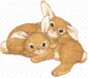 rabbits cuddling