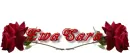 Red rose -- EwaSara