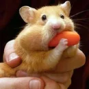 Yummy