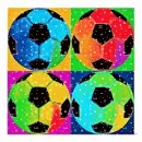 Soccer Balls