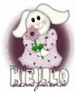 Hello friend