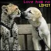 No limit.