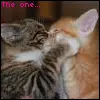 The One..