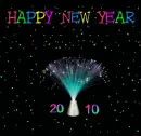 NEW YEAR