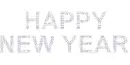 Happy New Year!