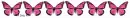 pink butterflies