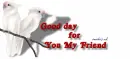 good day 