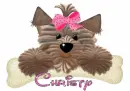 Christy