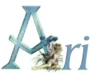 Fairy Name - Ari
