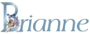Fairy Name - Brianne