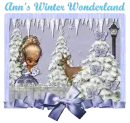 Ann's Winter Wonderland