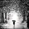 umbrella