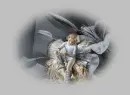 fairy child