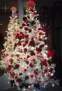 FROM CHRISTMAS TO VALENTINES. TREE. 